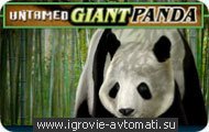 Игровой автомат Untamed Giant Panda Игровой автомат Untamed Giant Panda