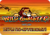 Игровой автомат Wild Gambler Игровой автомат Wild Gambler