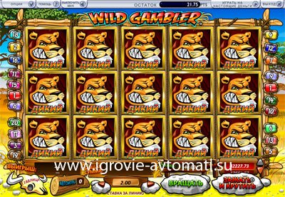   Wild Gambler